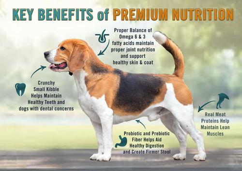 Show full view: Chicken Soup for the Soul Small Bites Beef & Brown Rice Recipe Adult Dry Dog Food, 13.5-lb bag slide 5 of 12