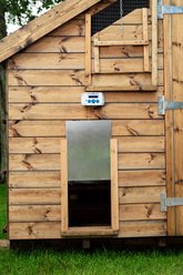 ChickenGuard Combi Extreme Automatic Chicken Coop Door Opener & Classic Door Kit slide 2 of 2
