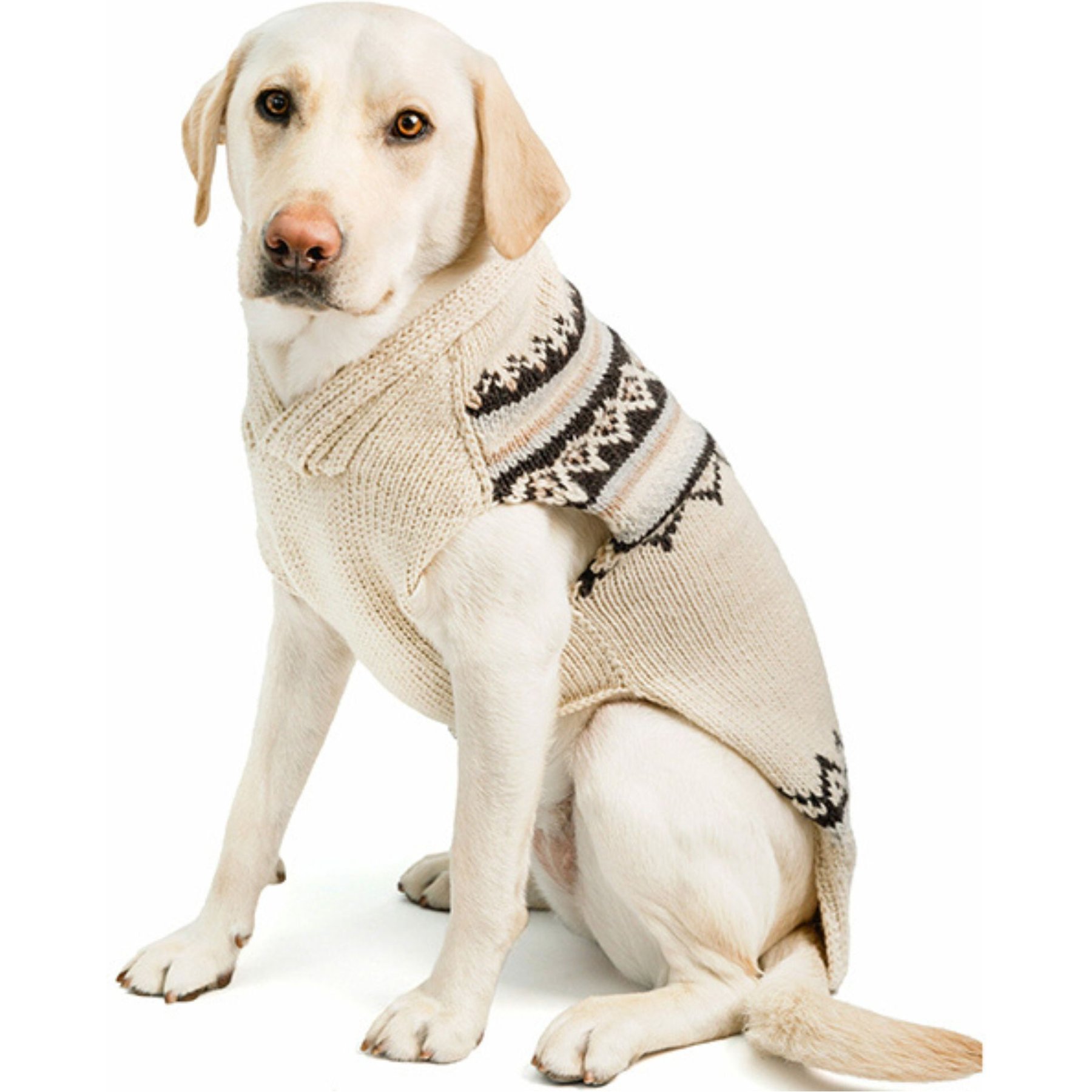 Chilly Dog Alpaca Cream Wyatt Dog & Cat Sweater, X-Large