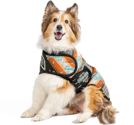 Show full view: Chilly Dog Black Canyon Dog & Cat Quilted Coat, Small slide 3 of 3