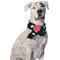 Show in main carousel: Chilly Dog Black Polka Dog & Cat Scarf, Small slide 1 of 4