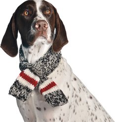 Chilly Dog Boyfriend Dog & Cat Scarf, Large