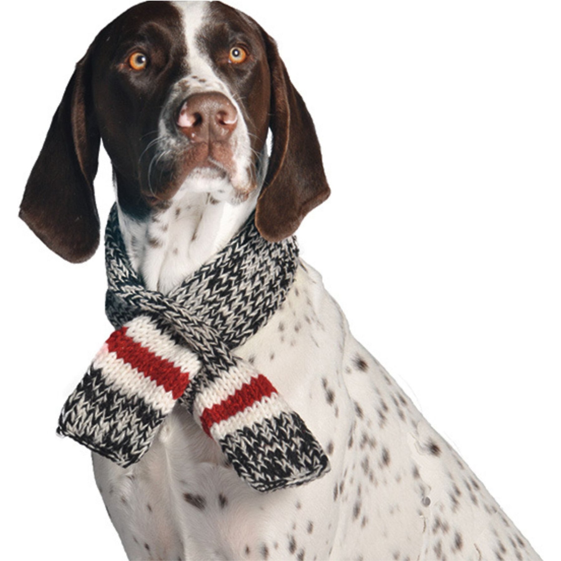 Chilly Dog Boyfriend Dog & Cat Scarf, Large