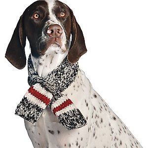 Chilly Dog Boyfriend Dog & Cat Scarf, Large