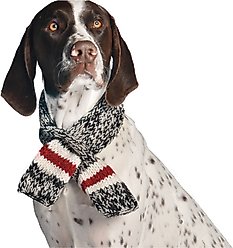 Chilly Dog Boyfriend Dog & Cat Scarf, Medium