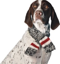 Chilly Dog Boyfriend Dog & Cat Scarf, Medium slide 2 of 3