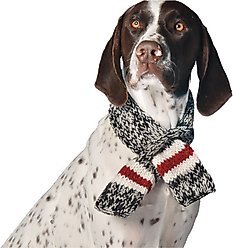 Chilly Dog Boyfriend Dog & Cat Scarf, Small slide 2 of 3