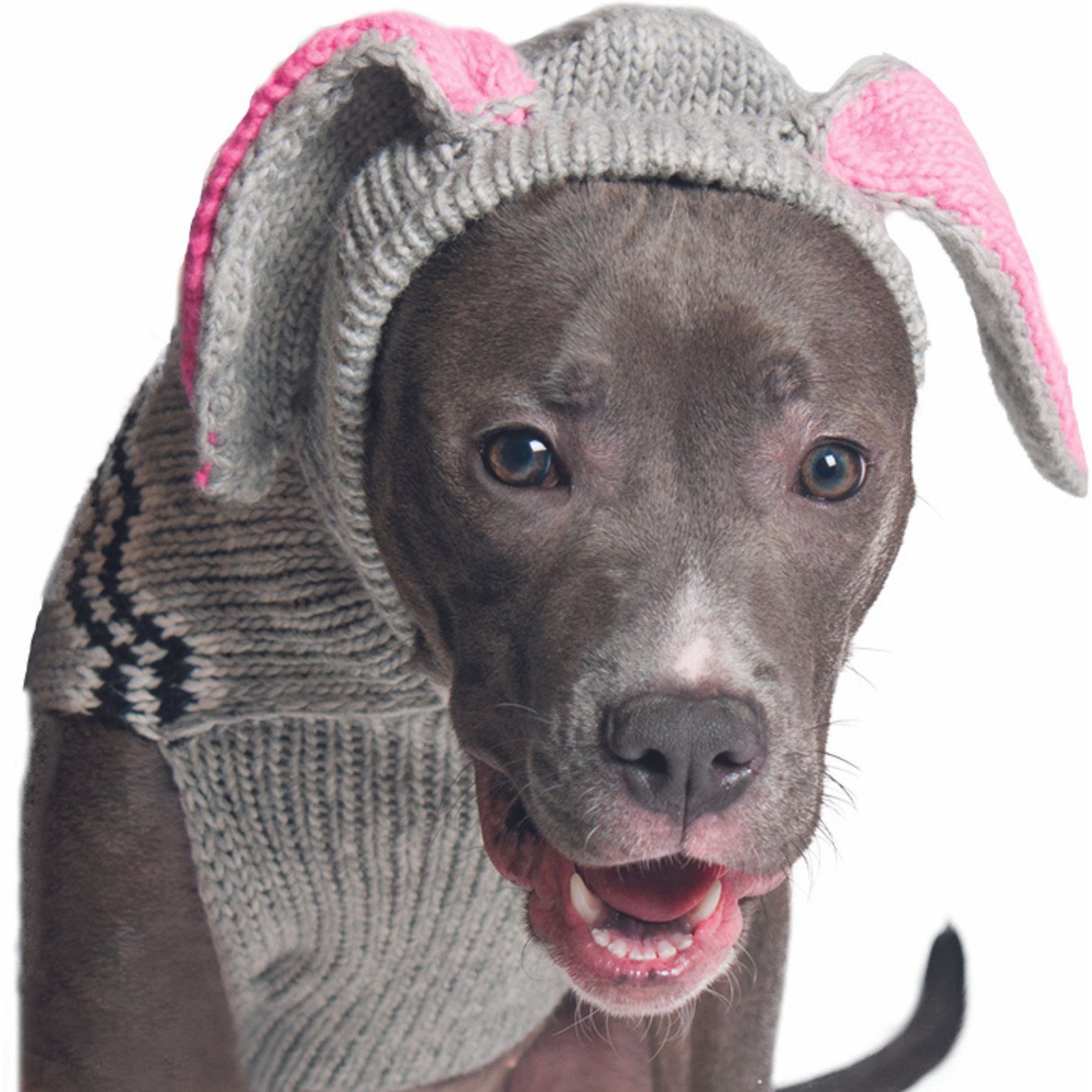Chilly Dog Bunny Dog & Cat Hoodie, X-Small