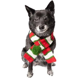 Chilly Dog Christmas Dog & Cat Scarf, Large