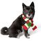 Show in main carousel: Chilly Dog Christmas Dog & Cat Scarf, Large slide 2 of 3