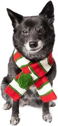 Chilly Dog Christmas Dog & Cat Scarf, Medium