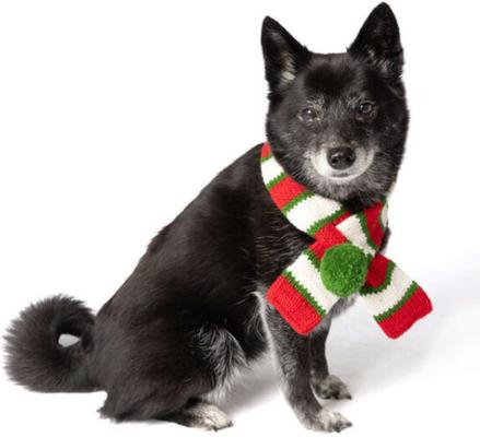 Show full view: Chilly Dog Christmas Dog & Cat Scarf, Small slide 2 of 3