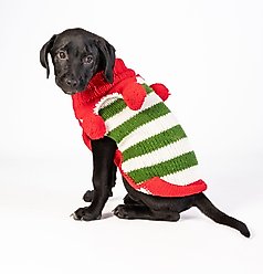 Chilly Dog Christmas Elf Dog & Cat Sweater, Medium