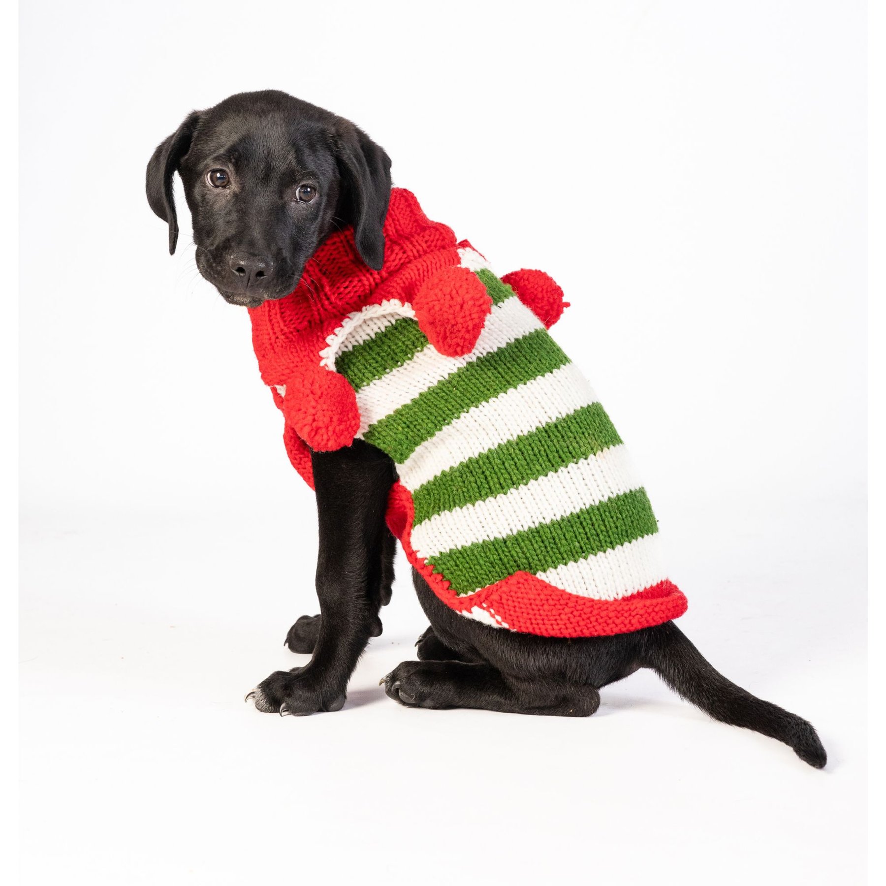 Chilly Dog Christmas Elf Dog & Cat Sweater, Medium
