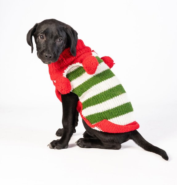 Show full view: Chilly Dog Christmas Elf Dog & Cat Sweater, X-Large slide 1 of 3