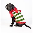 Show in main carousel: Chilly Dog Christmas Elf Dog & Cat Sweater, X-Large slide 1 of 3
