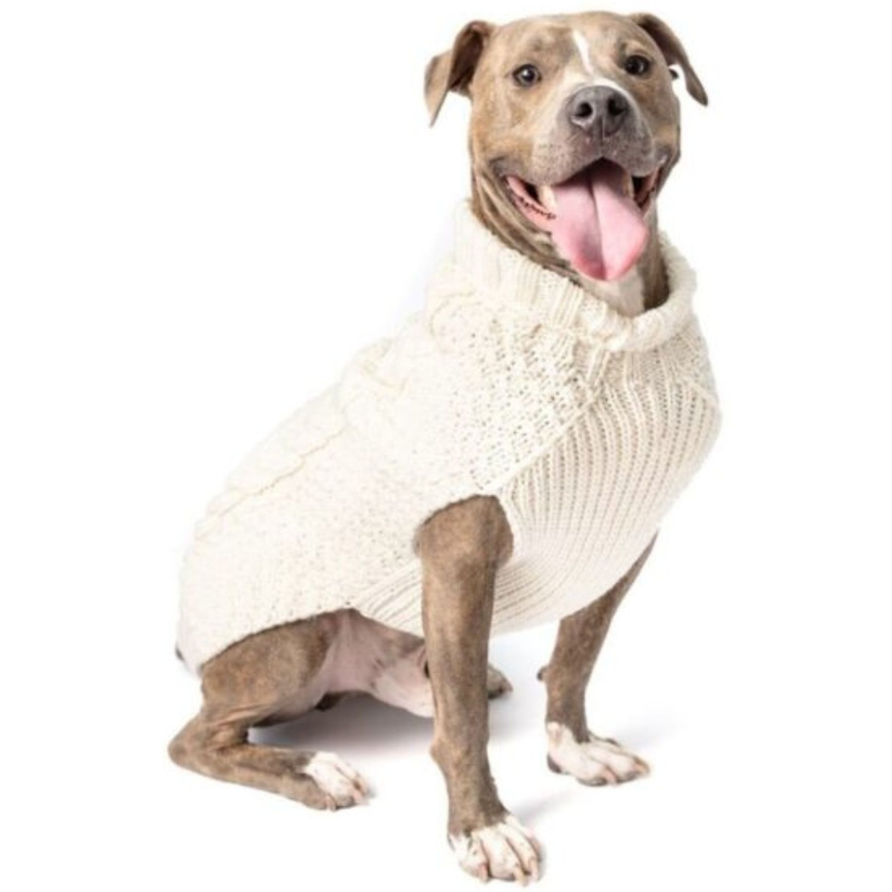 Chilly Dog Foxy Dog & Cat Hoodie, Medium