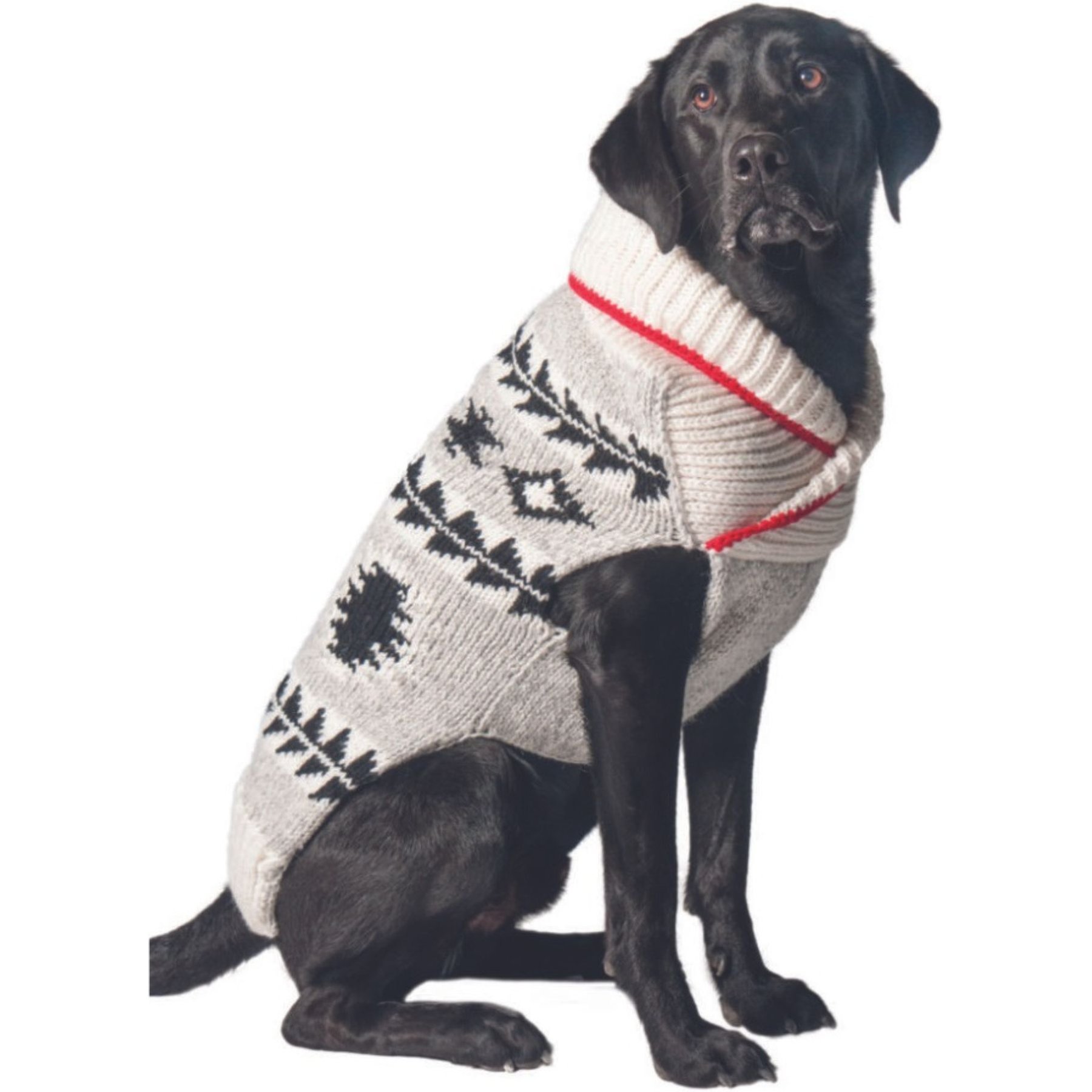 Chilly Dog Jackson Dog & Cat Sweater, Medium