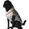 Show in main carousel: Chilly Dog Jackson Dog & Cat Sweater, Medium slide 2 of 3