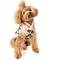 Show in main carousel: Chilly Dog Leopard Dog & Cat sweater, Small slide 2 of 4