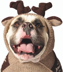 Chilly Dog Moosey Dog & Cat Hoodie, Large