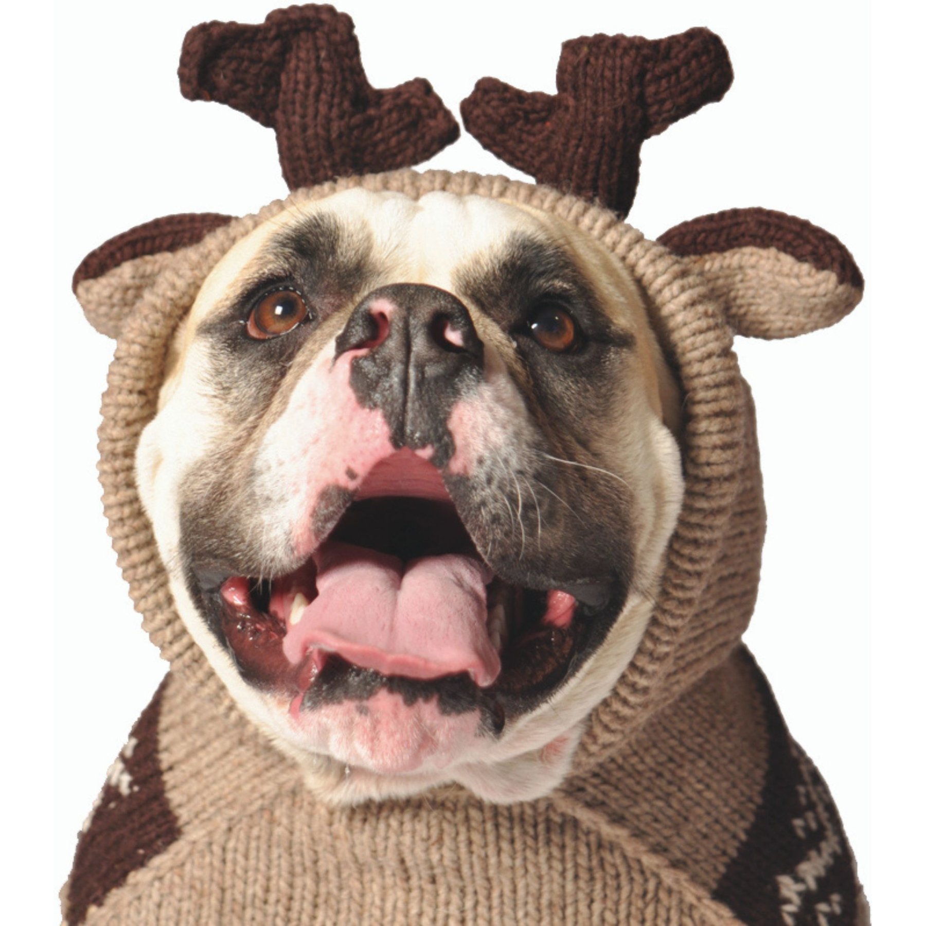 Chilly Dog Moosey Dog & Cat Hoodie, Large