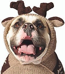 Chilly Dog Moosey Dog & Cat Hoodie, XXX-Large