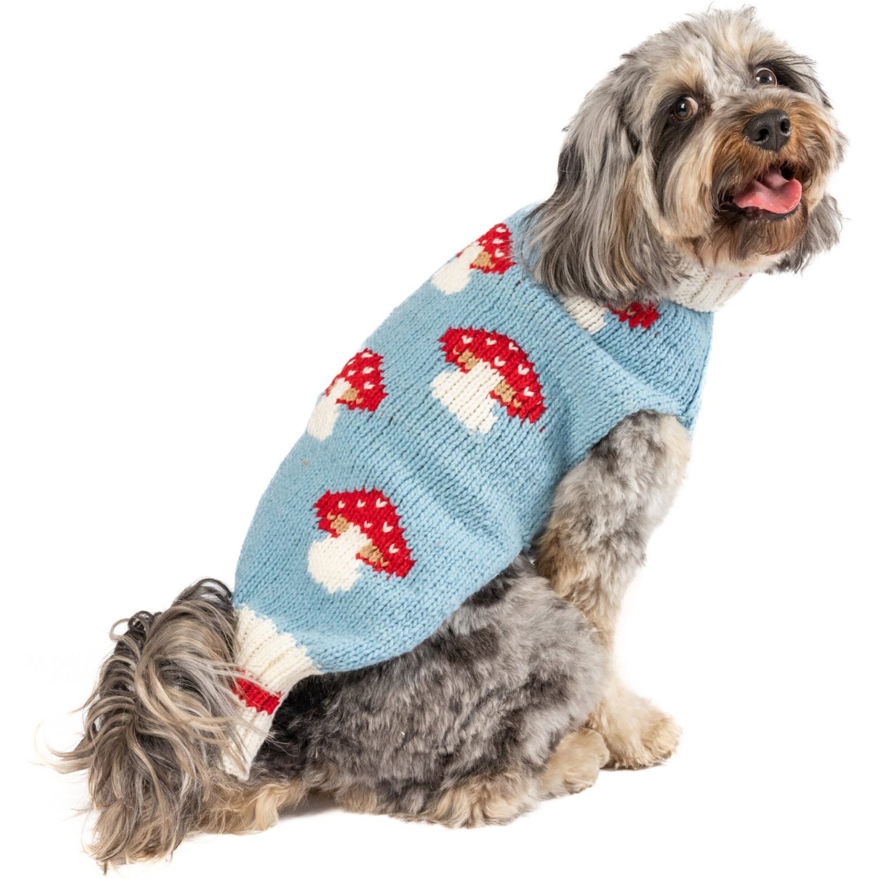 Chilly Dog Mushroom Dog & Cat Sweater, X-Large