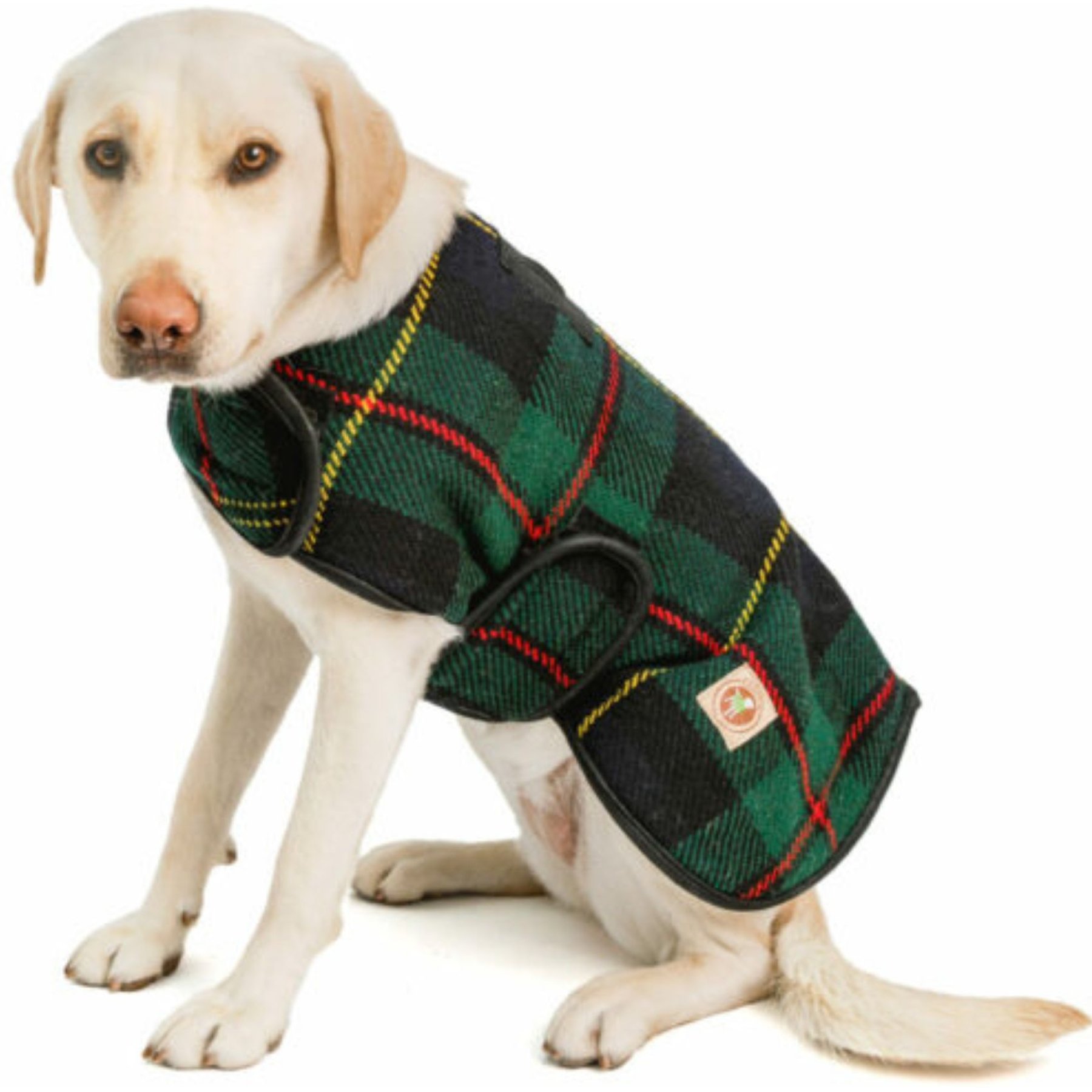 Chilly Dog Navy Plaid Dog & Cat Quilted Coat, Large