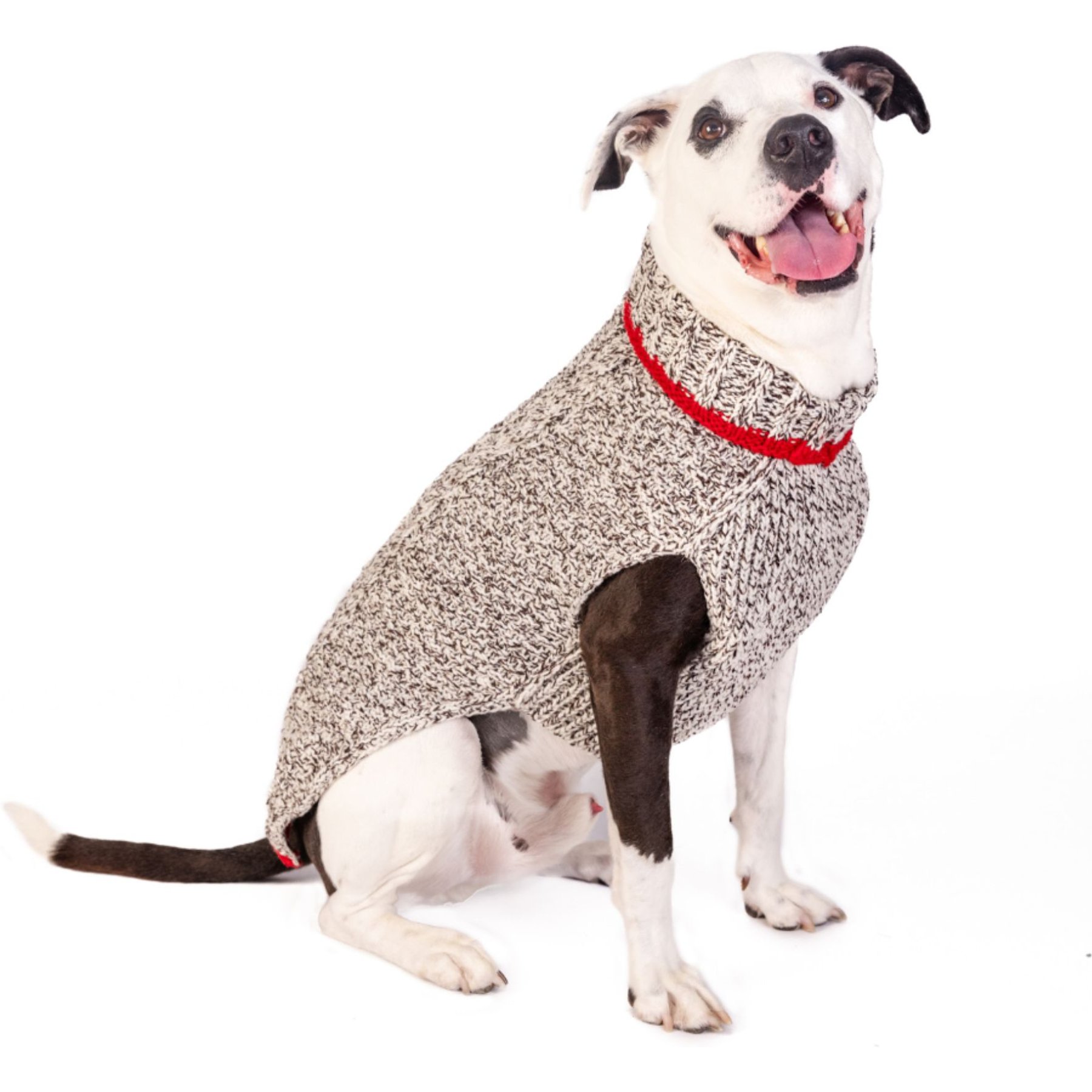 Chilly Dog Oatmeal Cable with Red Trim Dog & Cat Sweater, XX-Small