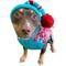 Show in main carousel: Chilly Dog Peppermint Dog & Cat Hoodie, X-Large slide 3 of 5