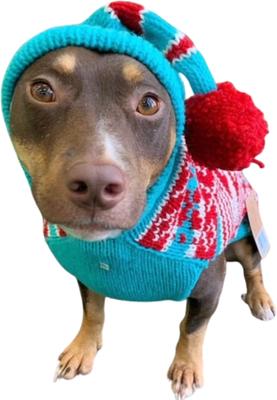 Show full view: Chilly Dog Peppermint Dog & Cat Hoodie, XXX-Large slide 2 of 4