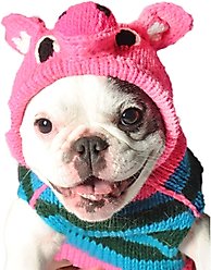Chilly Dog Pink Piggy Dog & Cat Hoodie, Large
