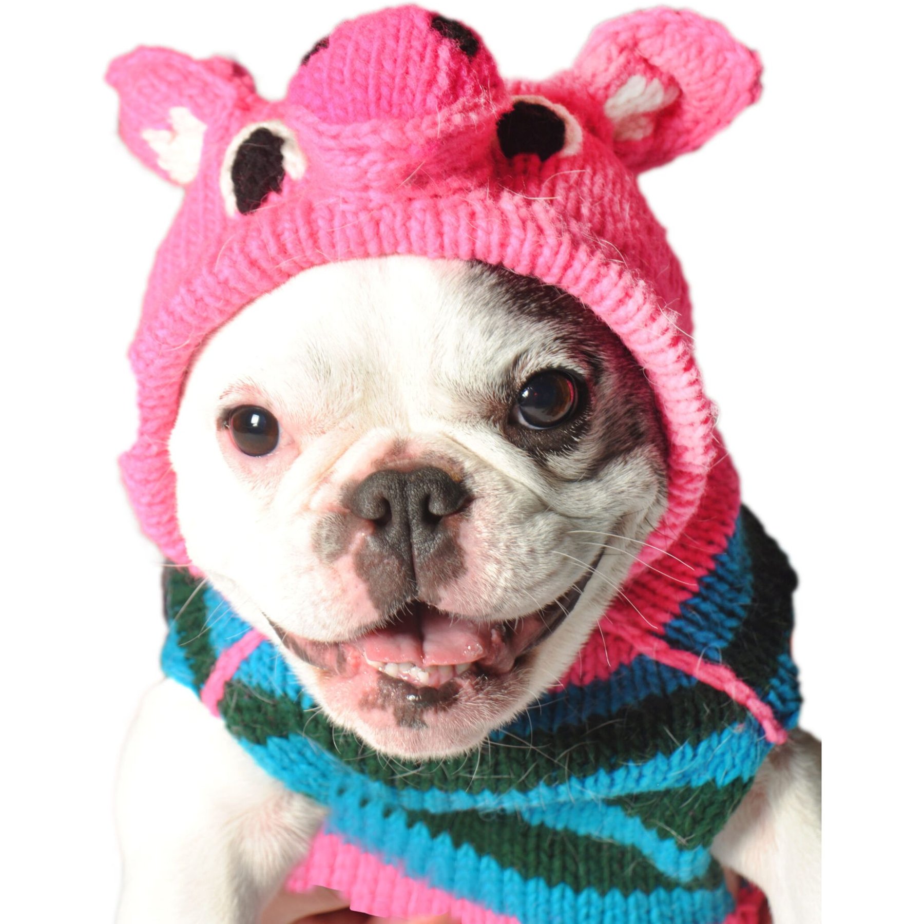 Chilly Dog Pink Piggy Dog & Cat Hoodie, Large