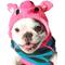 Show in main carousel: Chilly Dog Pink Piggy Dog & Cat Hoodie, Large slide 1 of 4
