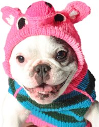 Chilly Dog Pink Piggy Dog & Cat Hoodie, Small
