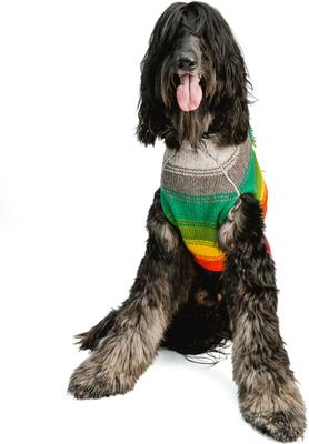 Show full view: Chilly Dog Rainbow Mohawk Dog & Cat Sweater, Small slide 2 of 4