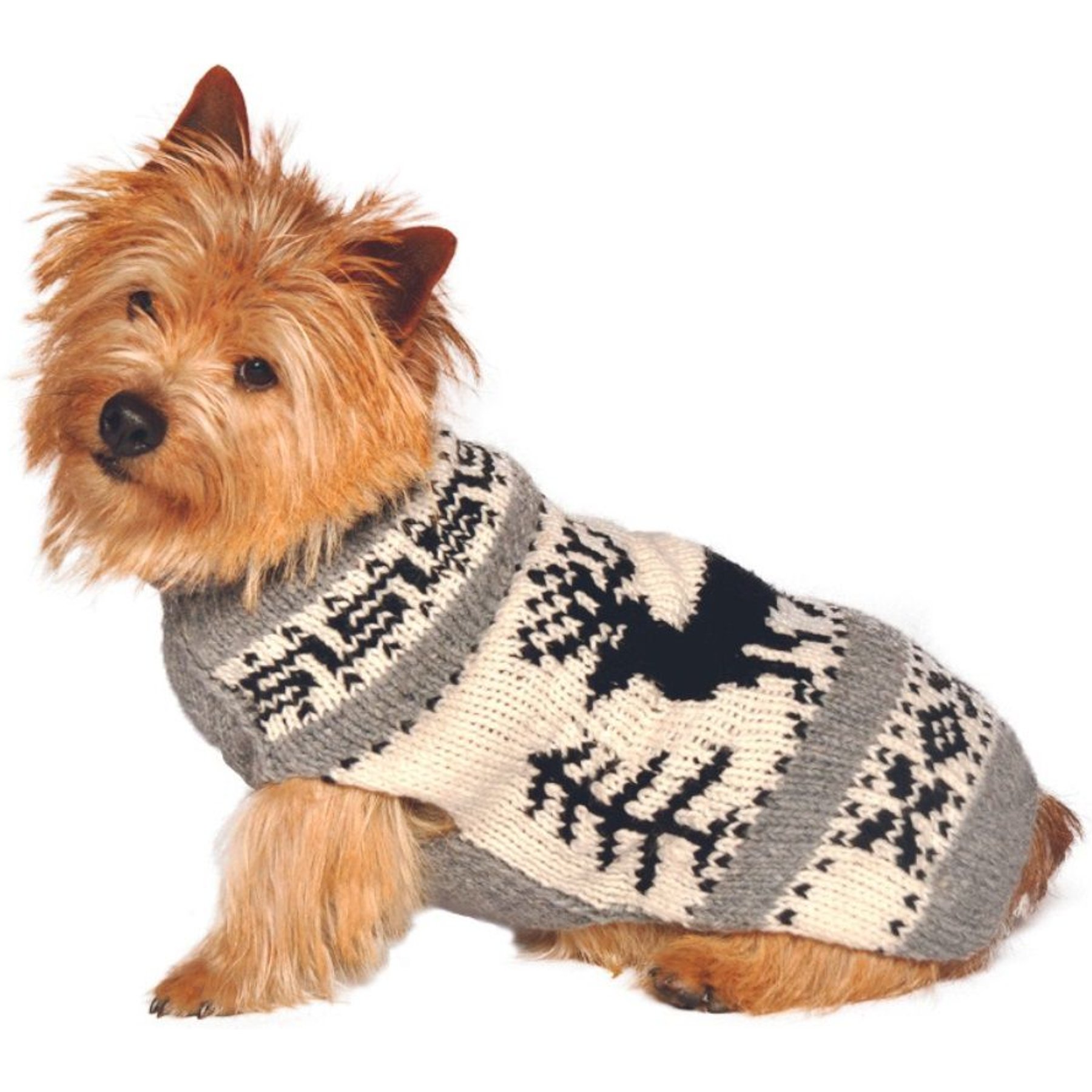 Chilly Dog Reindeer Shawl, X-Small