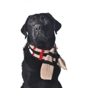 Chilly Dog Tan Plaid Dog & Cat Scarf, Small