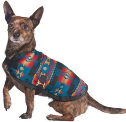 Show full view: Chilly Dog Turquoise Southwest Blanket Dog & Cat Coat, Medium slide 3 of 5