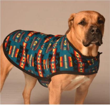 Show full view: Chilly Dog Turquoise Southwest Blanket Dog & Cat Coat, X-Large slide 3 of 4