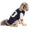 Show in main carousel: Chilly Dog Varsity Dog & Cat Sweater, Medium slide 3 of 3