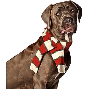 Chilly Dog White/Red Dog & Cat Scarf, Medium