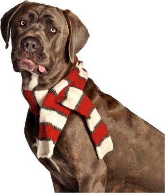 Show full view: Chilly Dog White/Red Dog & Cat Scarf, Medium slide 2 of 4