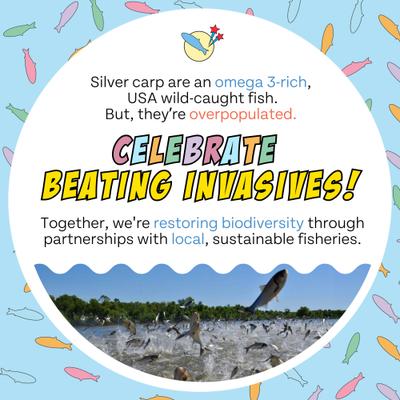 Show full view: Chippin Birthday Celebration Adult Fish & Pumpkin Grain-Free Soft Jerky Dog Treats, 5-oz bag slide 10 of 11