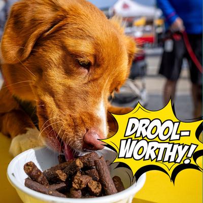 Show full view: Chippin Birthday Celebration Adult Fish & Pumpkin Grain-Free Soft Jerky Dog Treats, 5-oz bag slide 6 of 11