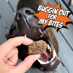 Chippin Chirpy Jerky Cricket Sweet Potato Carrot Grain-Free Soft & Chewy Dog Treats, 5-oz bag slide 2 of 9