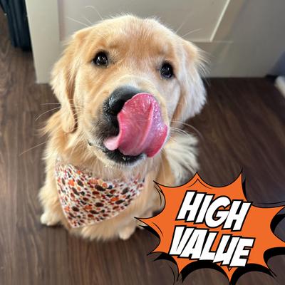 Show full view: Chippin Chirpy Jerky Cricket Sweet Potato Carrot Grain-Free Soft & Chewy Dog Treats, 5-oz bag slide 7 of 11