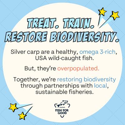 Show full view: Chippin Training Bites Wild-Caught Fish & Sweet Potato Jerky Dog Treats, 5-oz bag slide 10 of 11