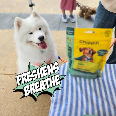 Show full view: Chippin Vegan Crunchy Veggie Dailies, Spirulina, Kale & Carrot Oven Baked Dog Treat, 5-oz bag slide 7 of 11